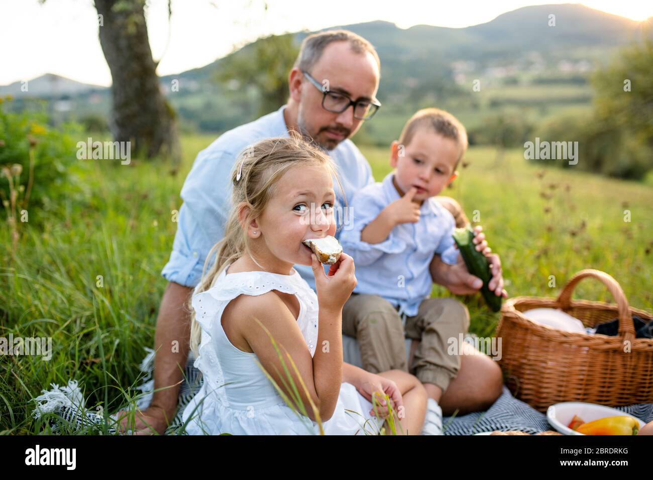 Vater mit zwei kleinen Kindern auf der Wiese im Freien, Picknick. Stockfoto