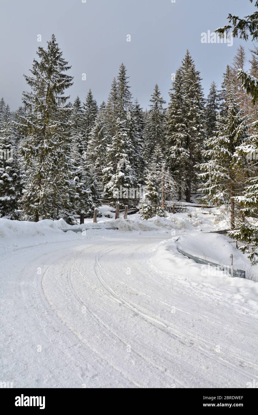Pfad in PolishTatra Bergwald im Winter Stockfoto