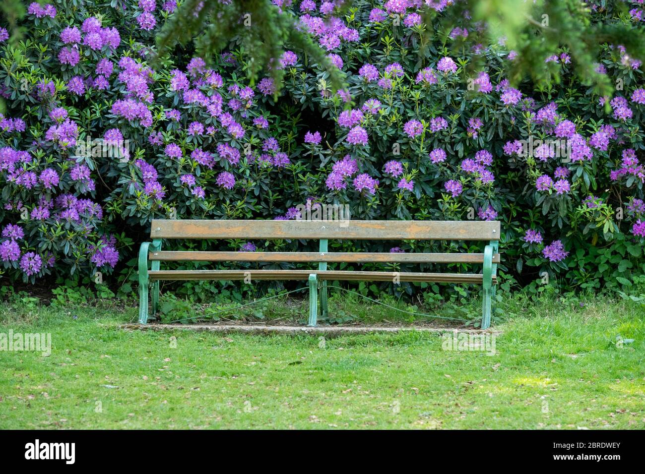 Brentwood Essex 21. Mai 2020 Essex Country Parks sind zum ersten Mal seit Beginn der Sperrung für die Öffentlichkeit zugänglich. North Weald Country Park, Brentwood Essex Credit: Ian Davidson/Alamy Live News Stockfoto