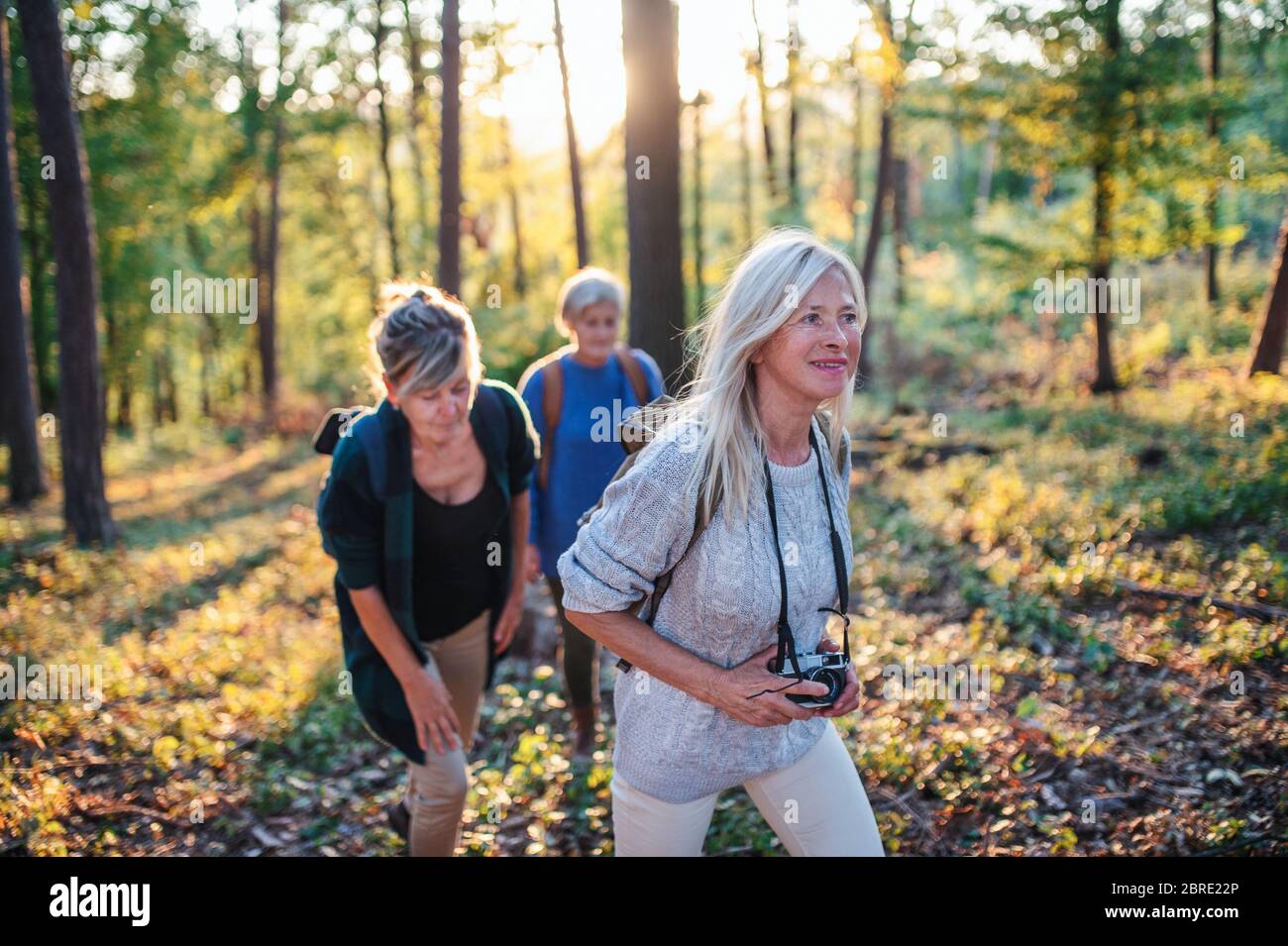 Alte frauen im ruhestand Fotos und Bildmaterial in hoher Auflösung Alamy