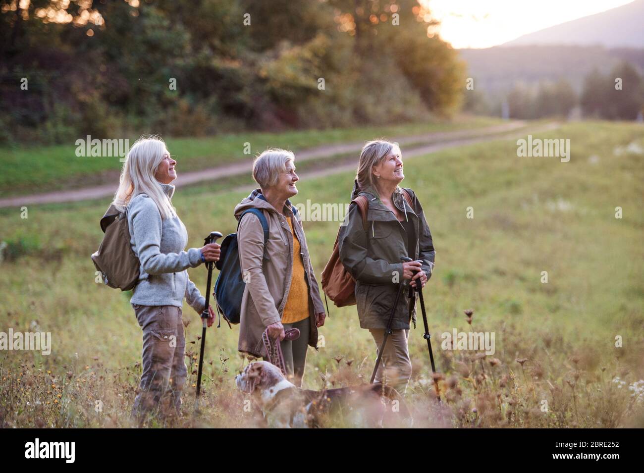 Ältere Frauen Freunde mit Hund auf Spaziergang im Freien in der Natur. Stockfoto