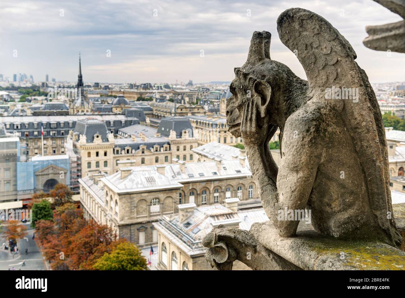 Chimera (Wasserspeier) der Kathedrale von Notre Dame de Paris mit Blick auf Paris, Frankreich Stockfoto