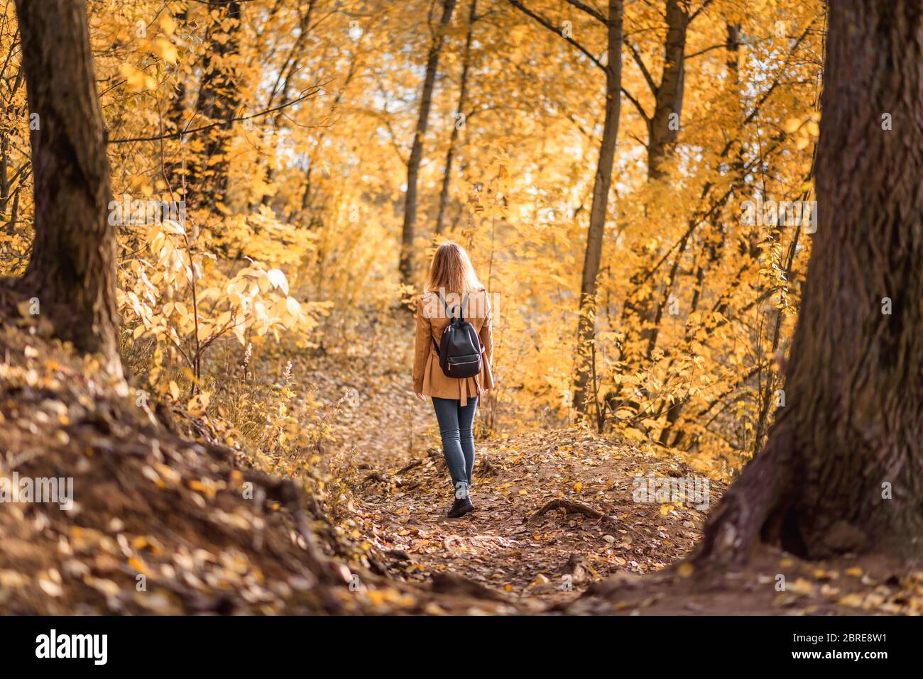 Frau im Herbstpark, Rückansicht. Erwachsene Mädchen allein auf dem Weg im Herbstwald zu Fuß. Einsame junge Frau mit Rucksack in Herbst Jacke. Wunderschön Stockfoto