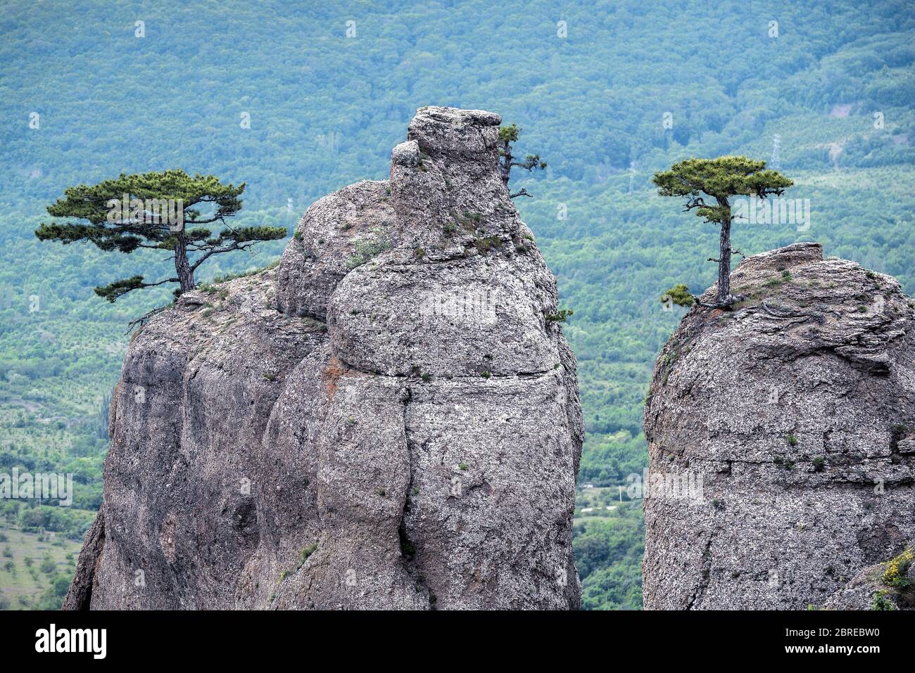 Tal der Geister - Felsformationen auf dem Demerdji Berg. Die Landschaft Krim, Russland. Stockfoto