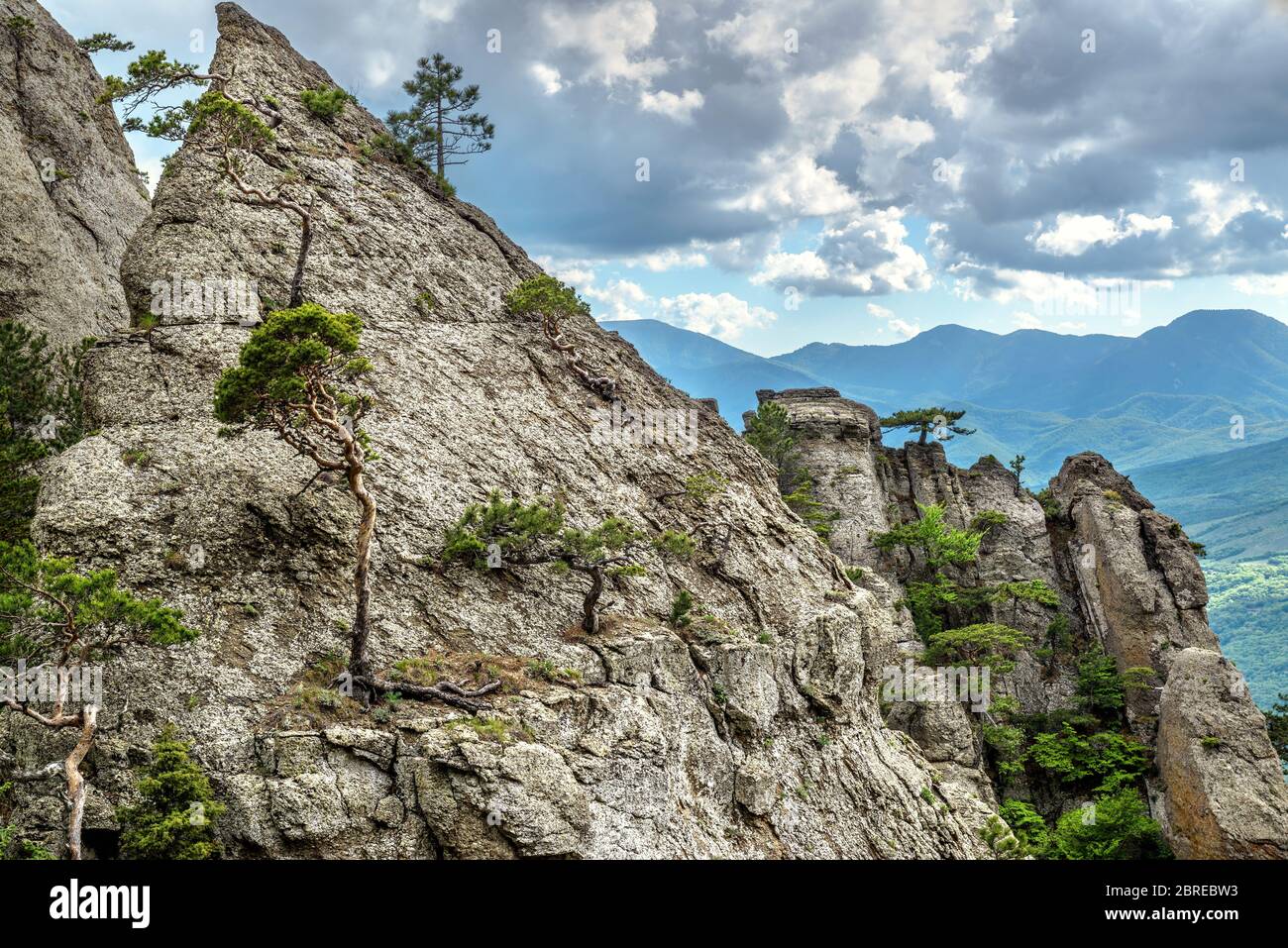 Die Berglandschaft Krim, Russland. Landschaftlich schöne Aussicht auf die Bergkette des Demerdji. Landschaft der Krimfelsen mit Kiefern im Sommer. Wunderschönes Nat Stockfoto