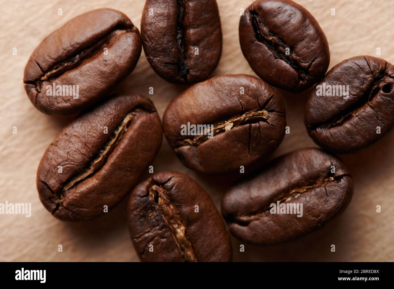 Nahaufnahme von geröstetem Kaffee auf Holztisch Makroansicht Stockfoto