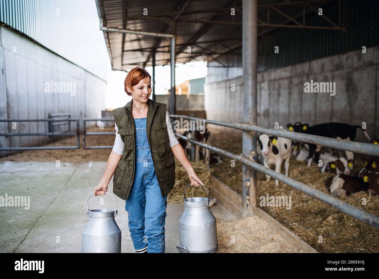 Frau Arbeiter mit Dosen arbeiten auf Tagebuchfarm, Landwirtschaft. Stockfoto