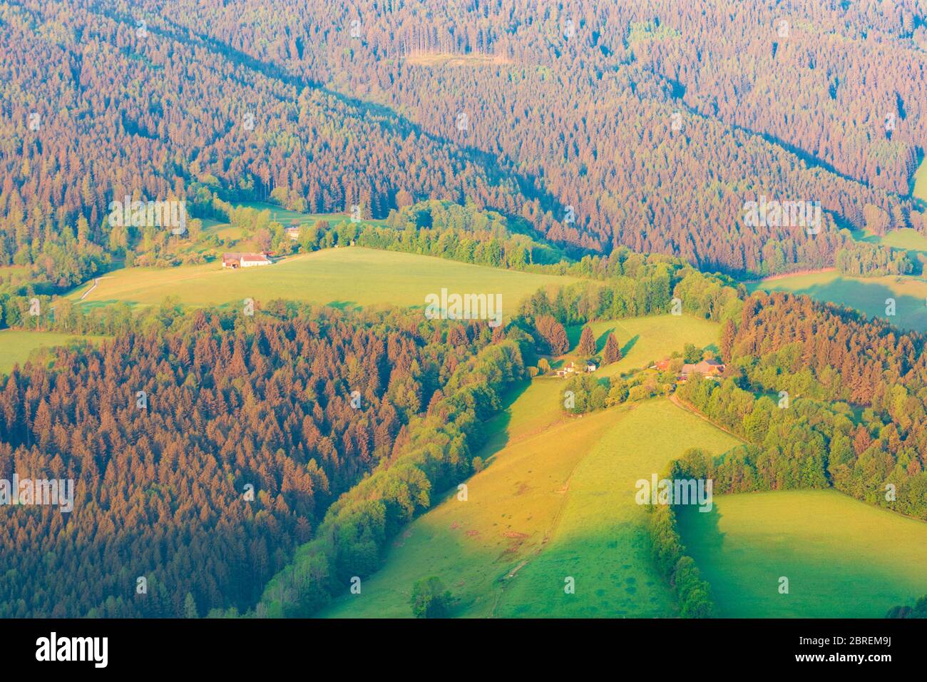 Kirchberg am Wechsel: Bauernhof, Feld, Wiese, Wald, Landschaft Bucklige Welt, in Wiener Alpen, Alpen, Niederösterreich, Niederösterreich, Österreich Stockfoto
