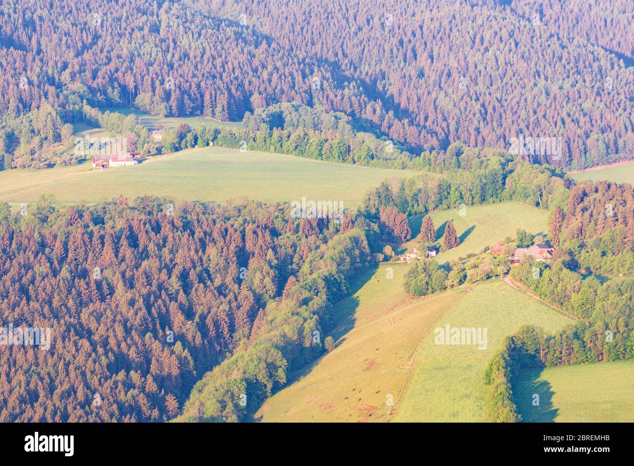 Kirchberg am Wechsel: Bauernhof, Feld, Wiese, Wald, Landschaft Bucklige Welt, in Wiener Alpen, Alpen, Niederösterreich, Niederösterreich, Österreich Stockfoto