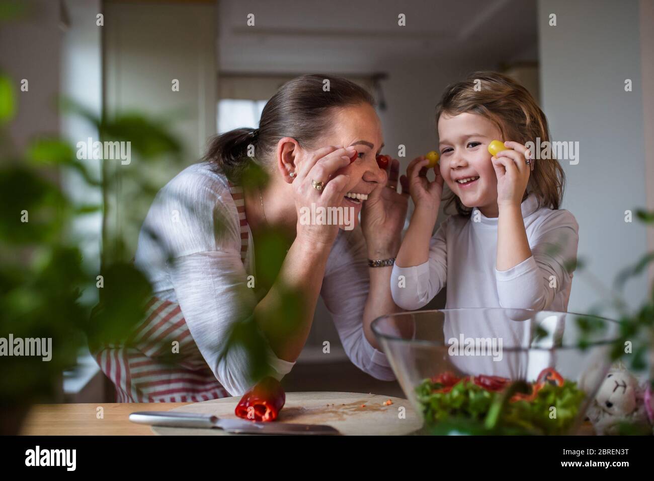 Kleines Mädchen mit älterer Großmutter in der Küche drinnen zu Hause, Spaß haben. Stockfoto