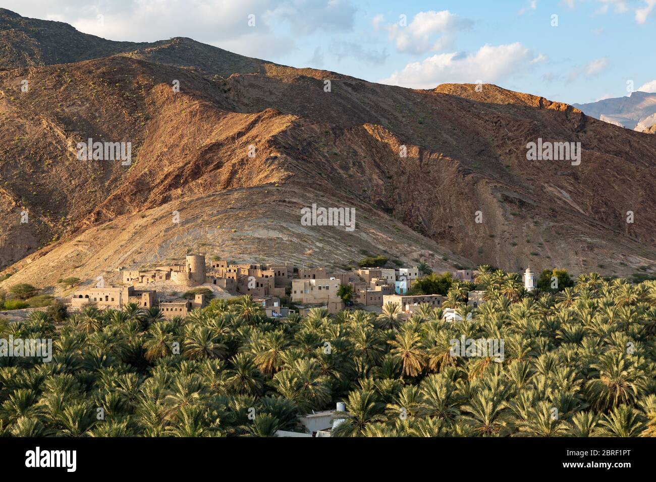 Blick auf die Ruinen von verlassenen Birkat al Mawz, Oman, vor dem Berg, Dattelpalmen vor Stockfoto