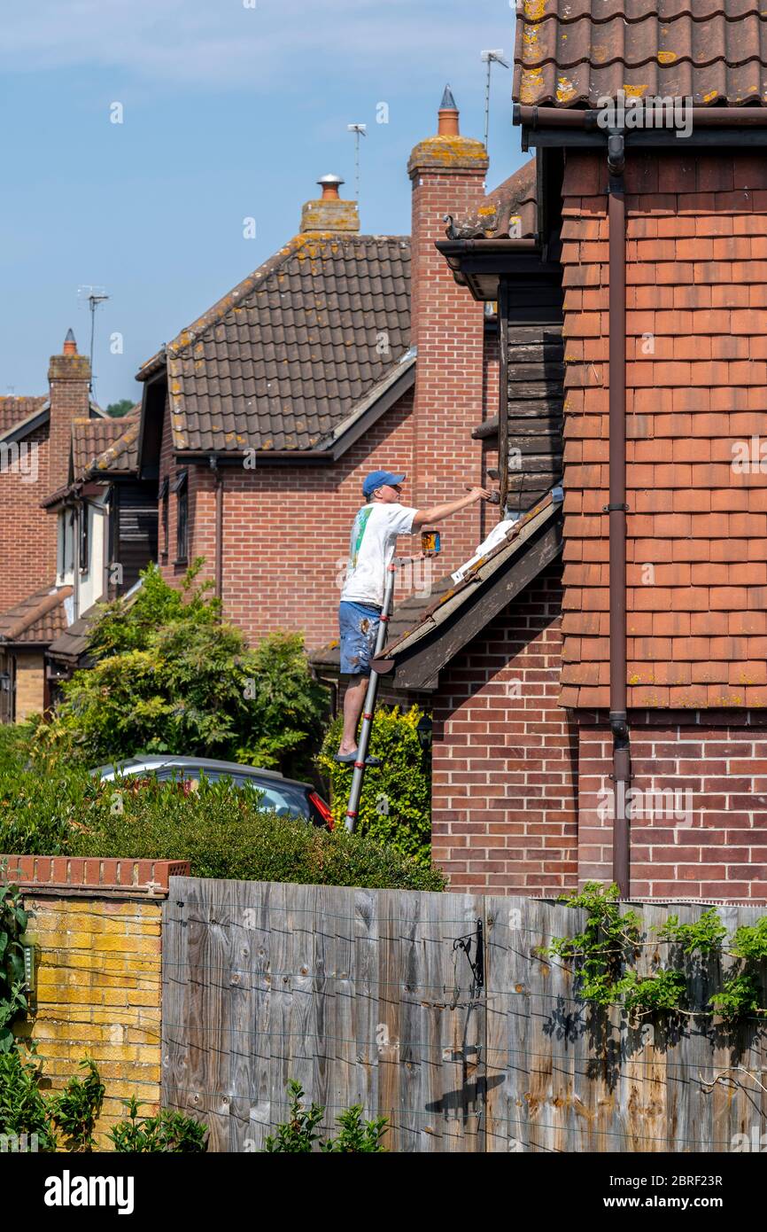 EIN HAUSBESITZER EINE LEITER MIT HOLZFLECK AUF DIE VORDERSEITE SEINES HAUSES. GROSSBRITANNIEN, ENGLAND, FRÜHLING Stockfoto