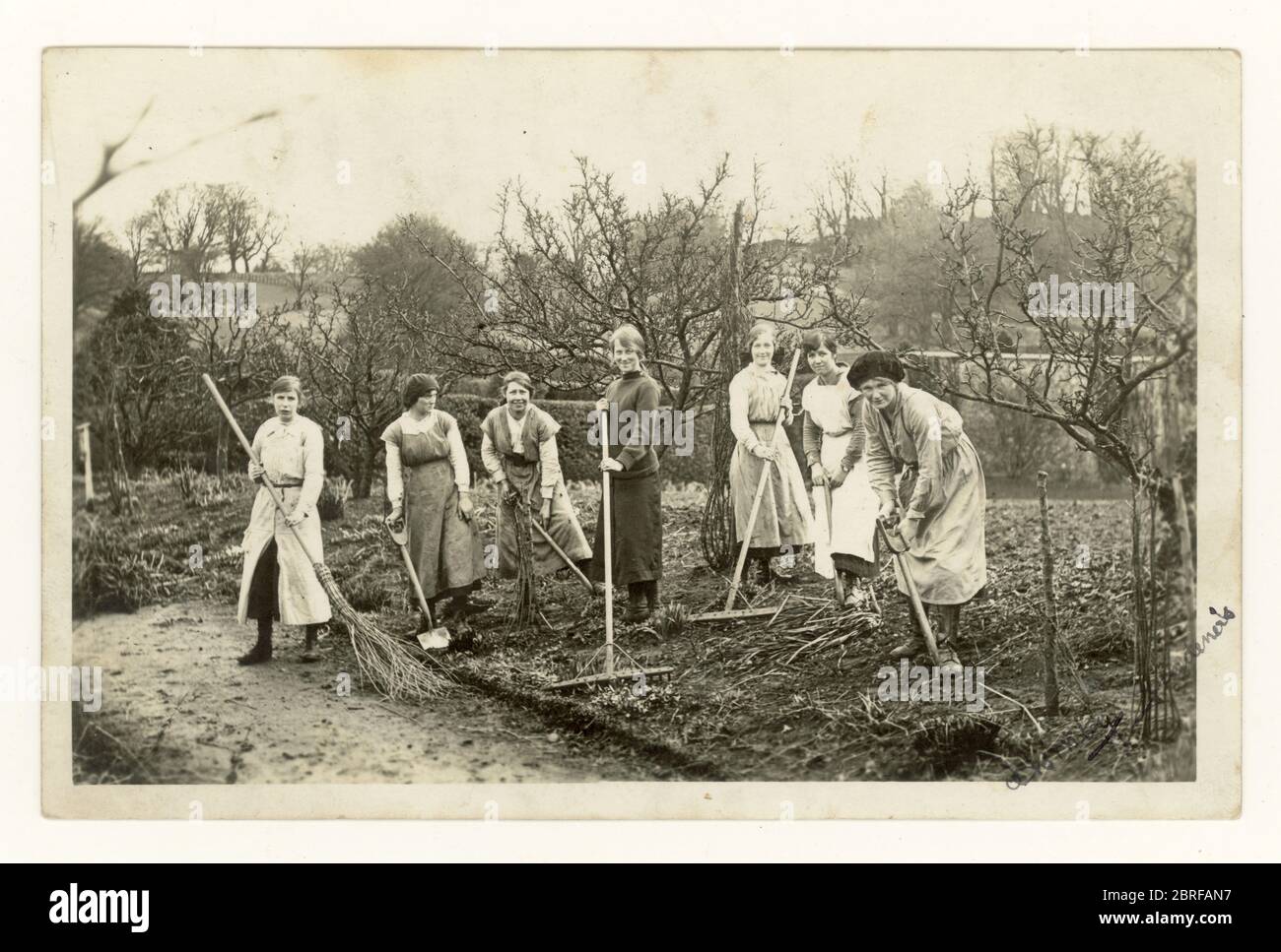 Britische Postkarte aus der Zeit des 1. Weltkriegs, 1900er von glücklichen Landarmee-Mädchen, Frauen, graben einen Plan, bereiten den Boden vor, um Gemüse oder Obststräucher zu Pflanzen, möglicherweise in einem Obstgarten oder Park, um den Kriegsanstrengungen zu helfen, 1900er Jahre graben nach Sieg, arbeiten an der Heimatfront, tun ihren Teil für Großbritannien. Großbritannien um 1916 Stockfoto