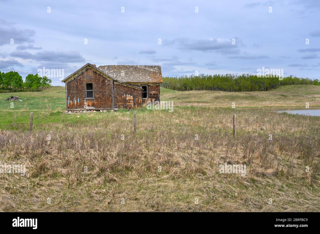 Altes Gehöft auf der Prärie nahe Big Valley, Alberta, Kanada Stockfoto