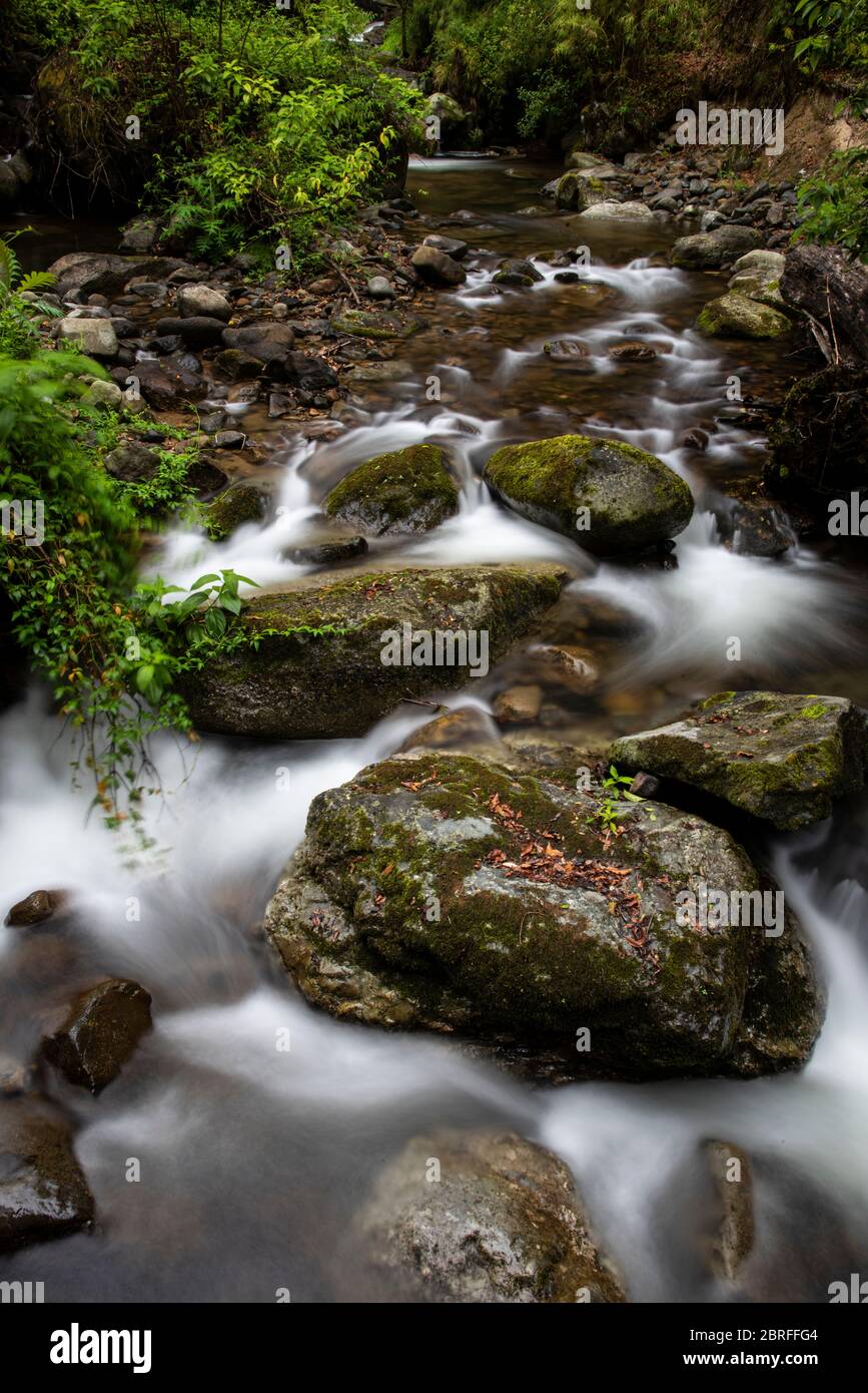 Fluss, Savegre Tal, Costa Rica. Stockfoto