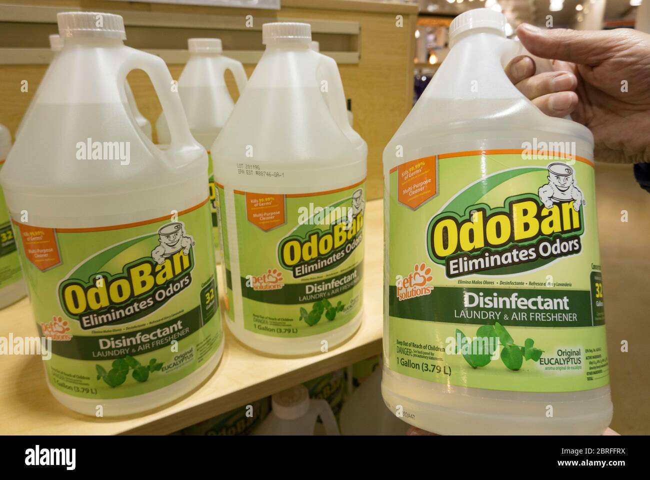 Home Depot Home Improvement speichern in New York City, USA Stockfoto