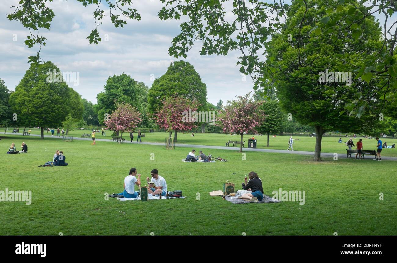 Junge Leute picknicken im Clissell Park im Norden Londons während der Coronavirus-Pandemie von 2020 Stockfoto