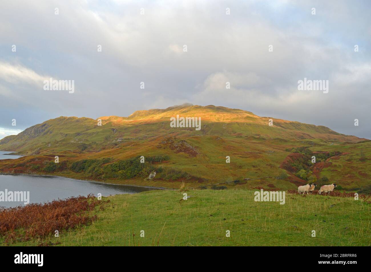 Ben HiAnt, Camas nan Geall, Ardslignish, Acharacle, Schottland Stockfoto