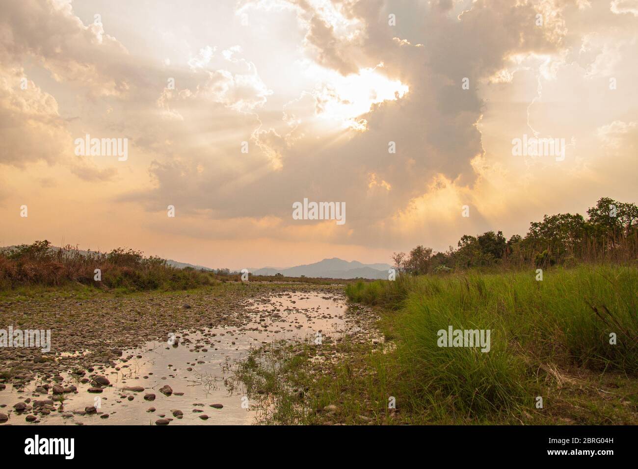 Landschaft des Jim Corbett National Park (Indien) Stockfoto
