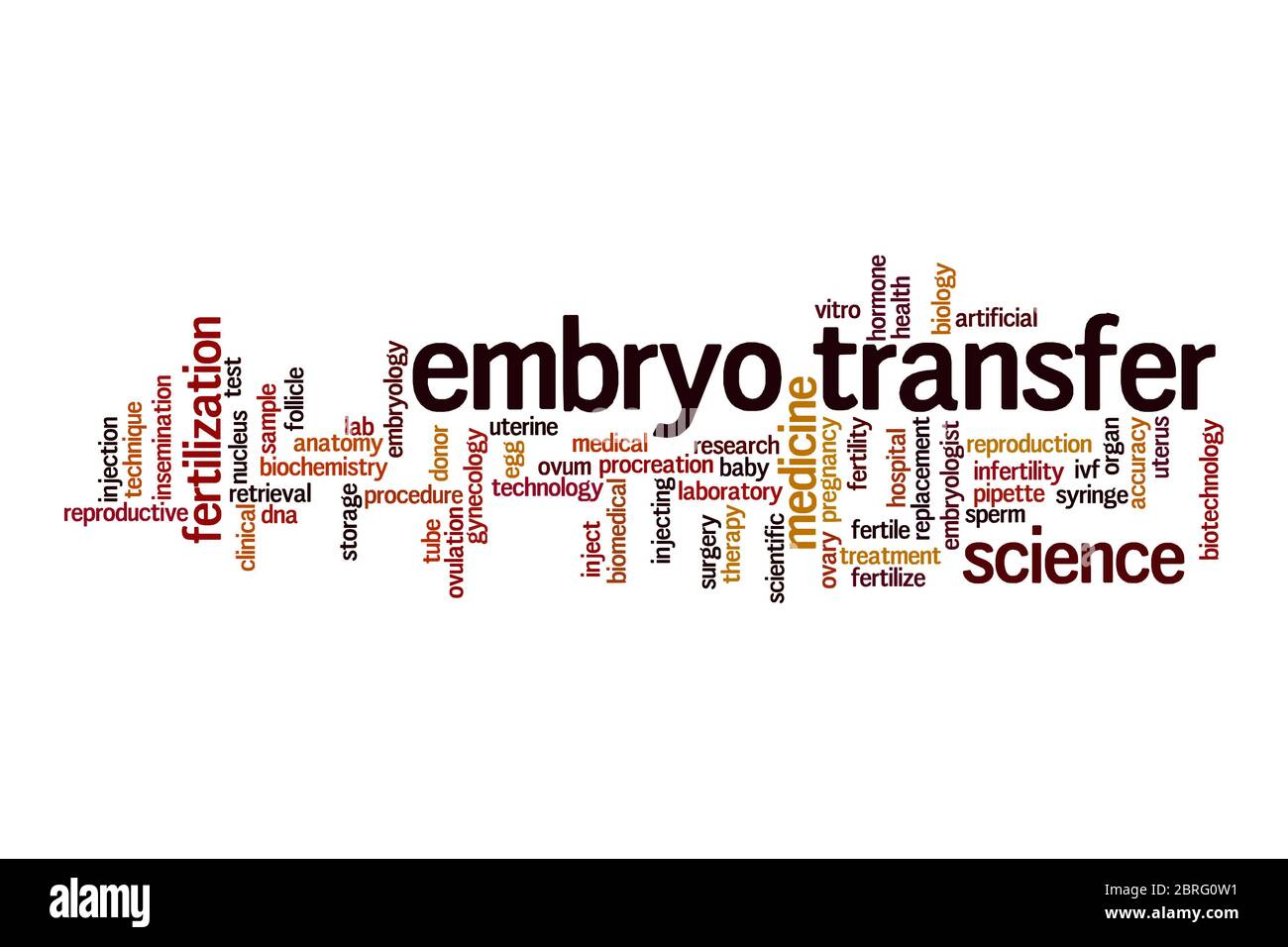 Embryo Transfer Cloud Konzept auf weißem Hintergrund Stockfoto
