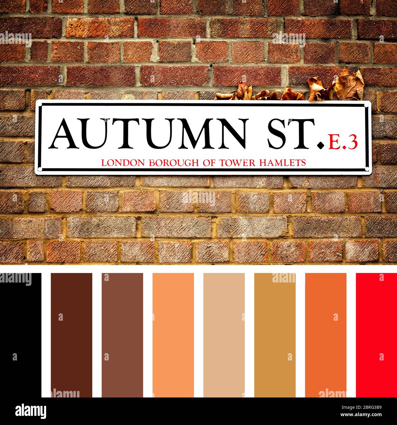 London Straßenschild für Autumn Street, mit Herbstlaub hinter sich, und einem roten Backstein Hintergrund. In einer Farbpalette mit kostenlosem Farbmuster Stockfoto