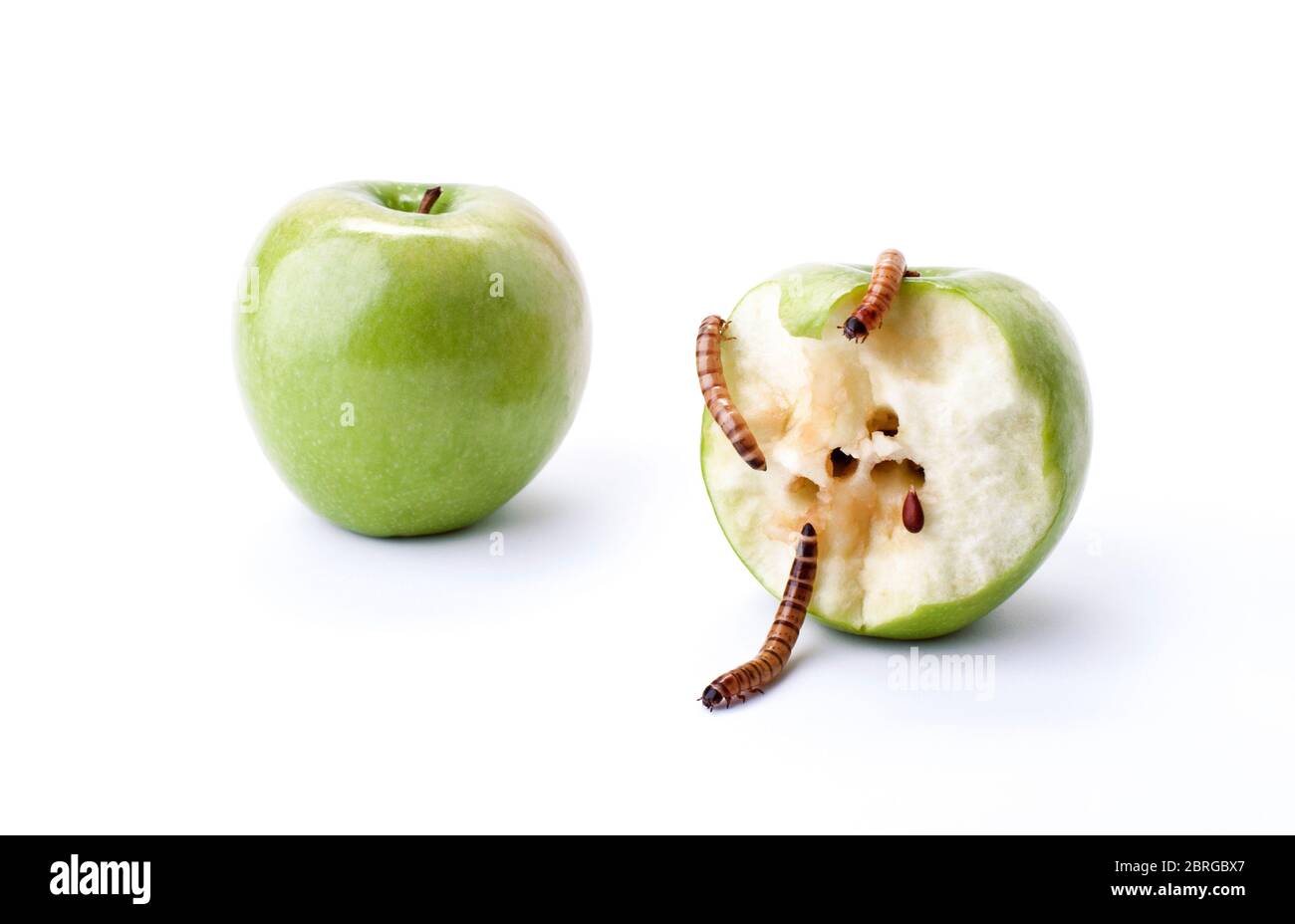 Grüner Apfel mit Würmern Stockfoto