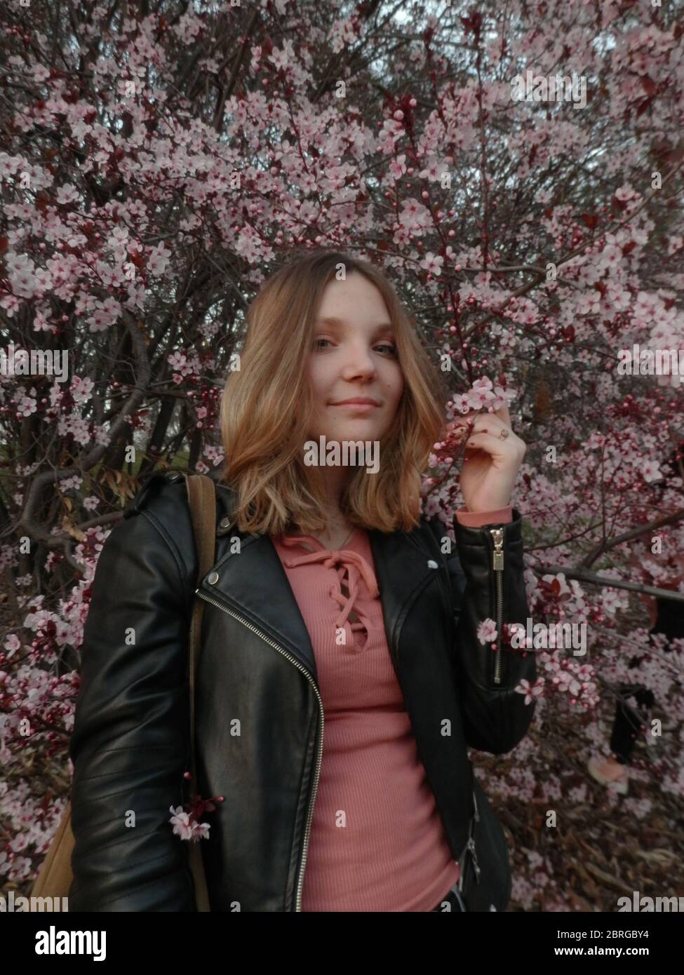 Sakura im El Retiro Park Stockfoto