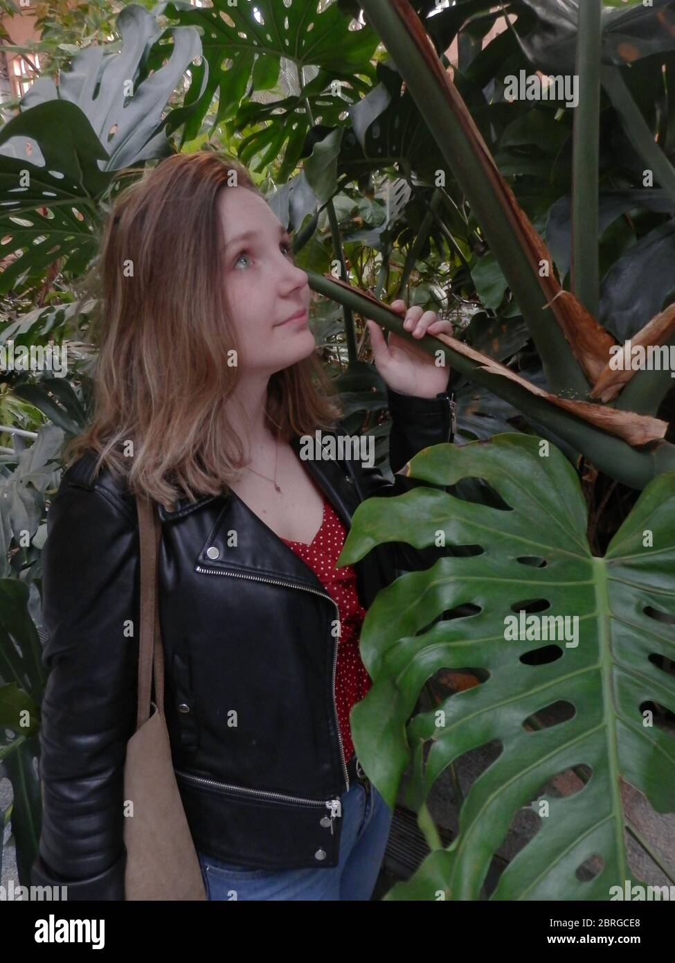 Atocha's Gewächshaus Stockfoto