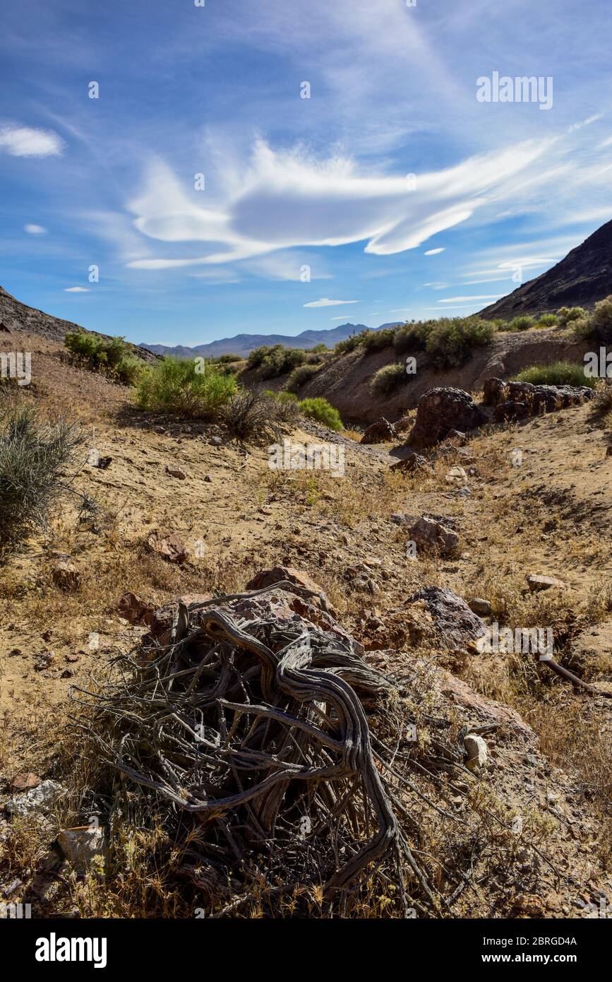 Nevada Wüstenlandschaft Stockfoto