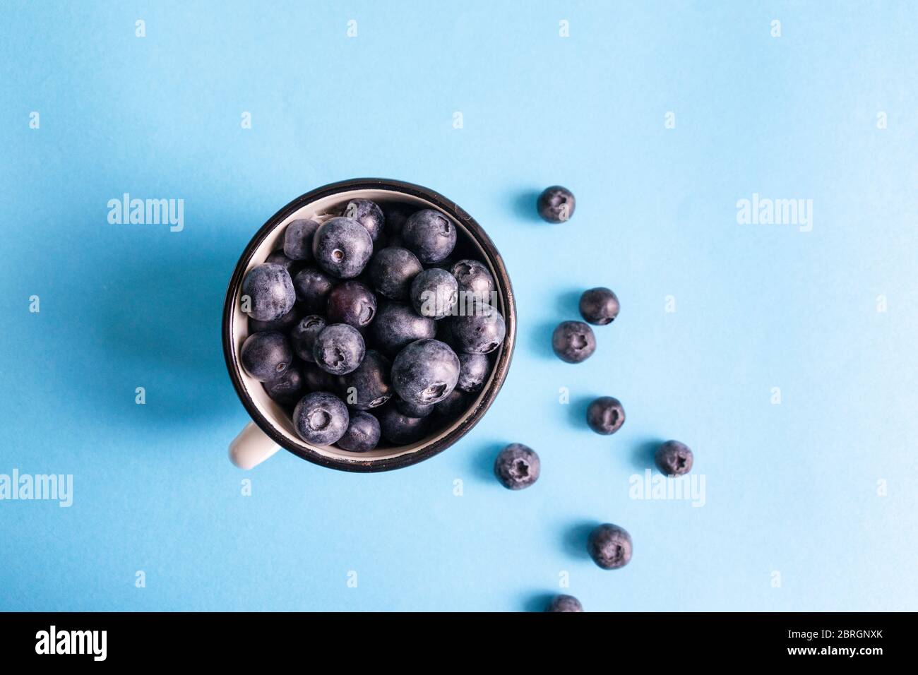 Frische rohe Bio Heidelbeere in einem Becher auf blauer Oberfläche, Draufsicht, flacher Lay Stockfoto