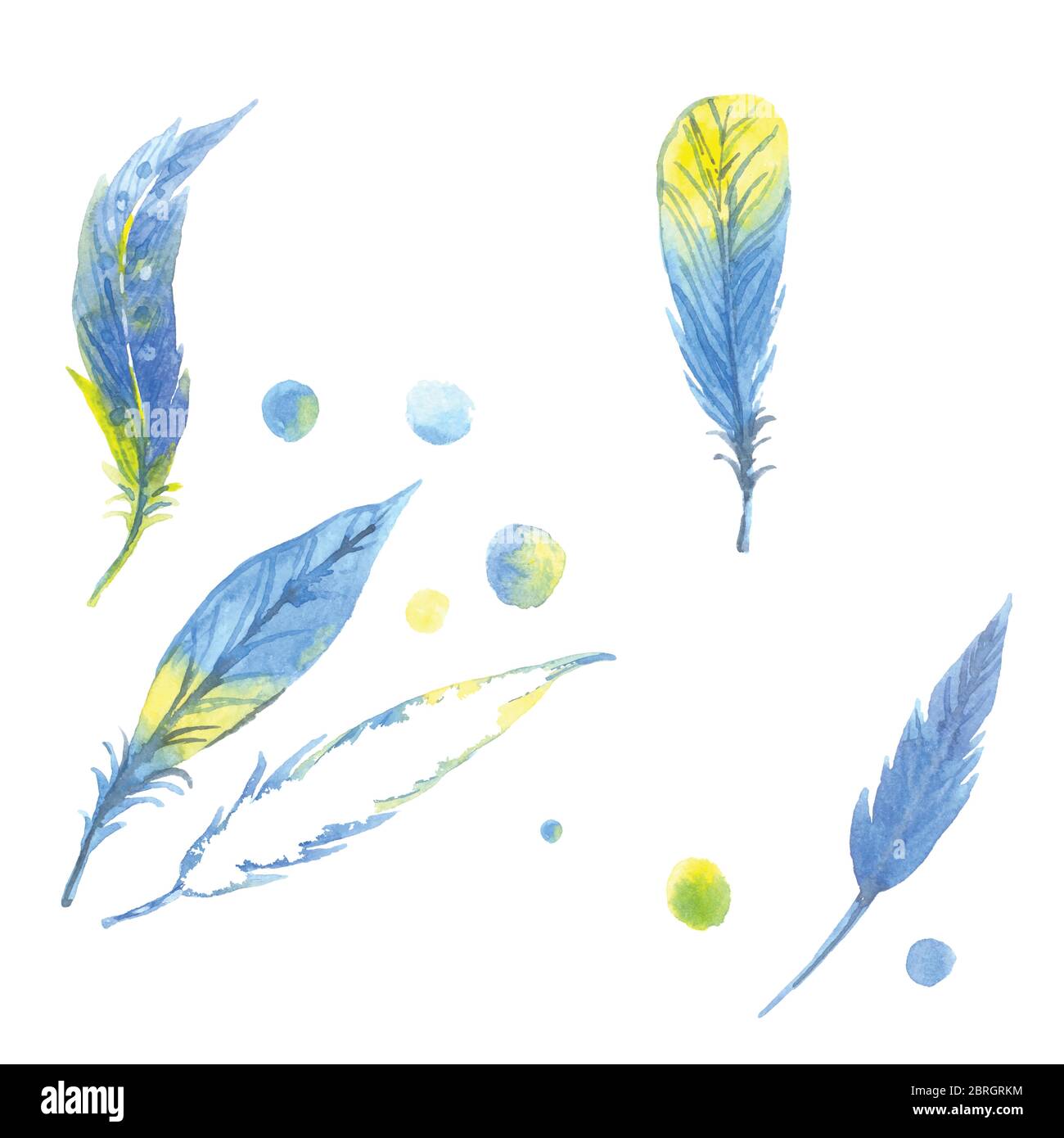 Set mit Aquarellfedern. Handgezeichnete Illustration Stock Vektor
