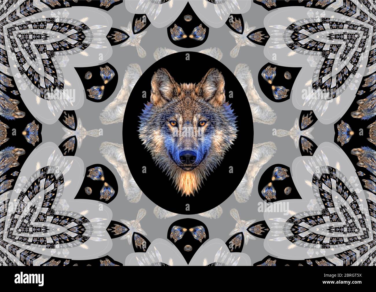 Meditationen über den Wolf. Ein starkes und intelligentes Tier, das den freien Geist symbolisiert. Stockfoto