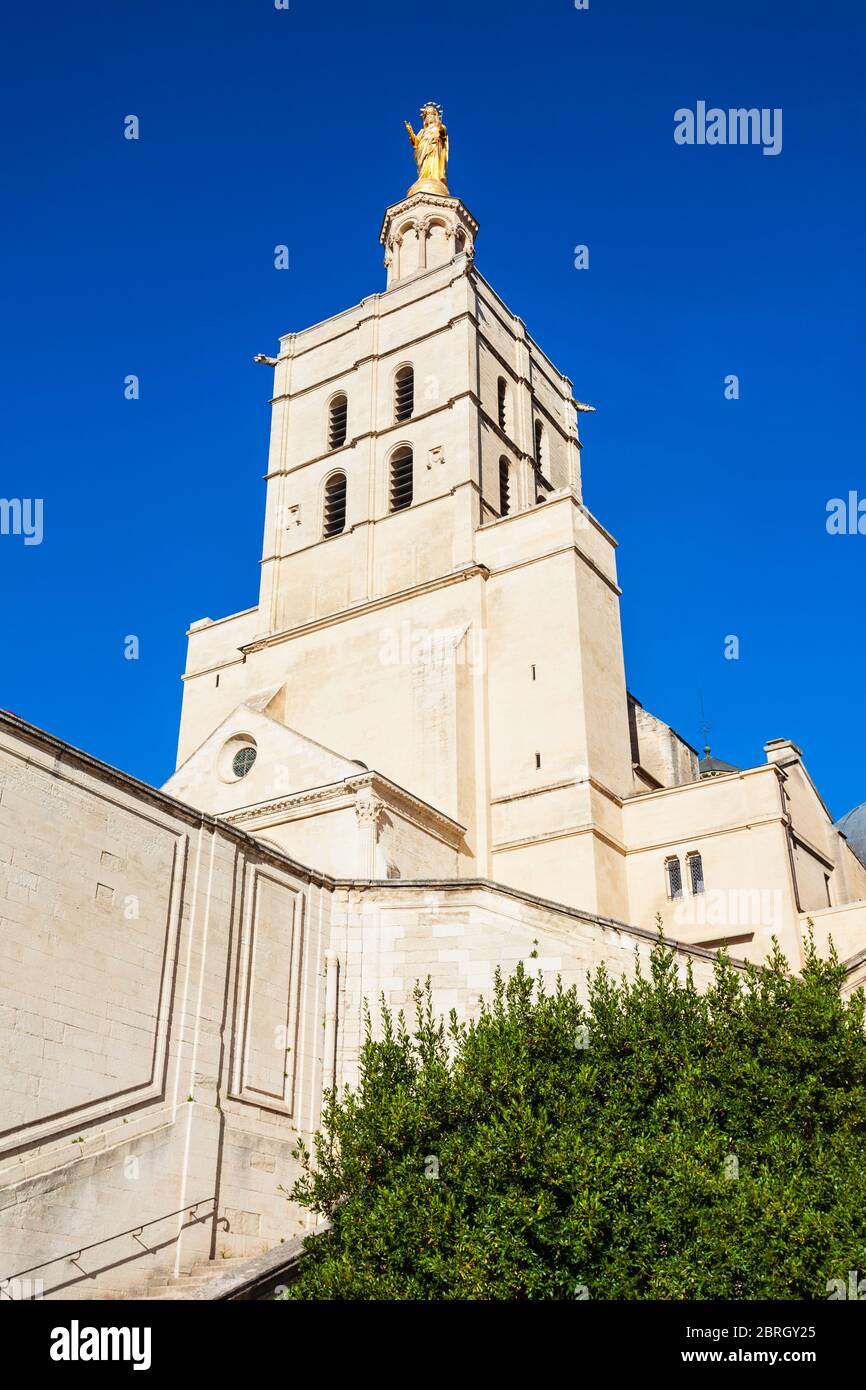 In der Kathedrale von Avignon Avignon Stadt, Südfrankreich. Stockfoto