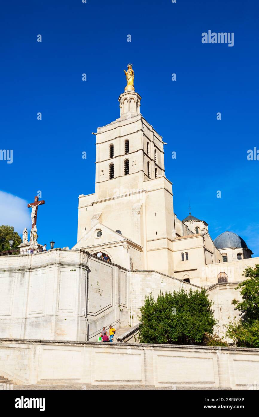 In der Kathedrale von Avignon Avignon Stadt, Südfrankreich. Stockfoto