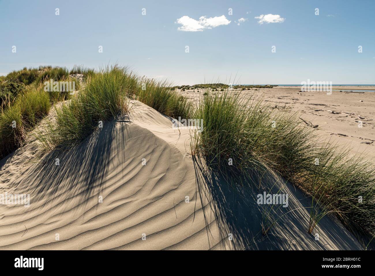 Sanddünen am Kuku Beach, Kapiti Coast, Manawatu-Wanganui, North Island, Neuseeland Stockfoto