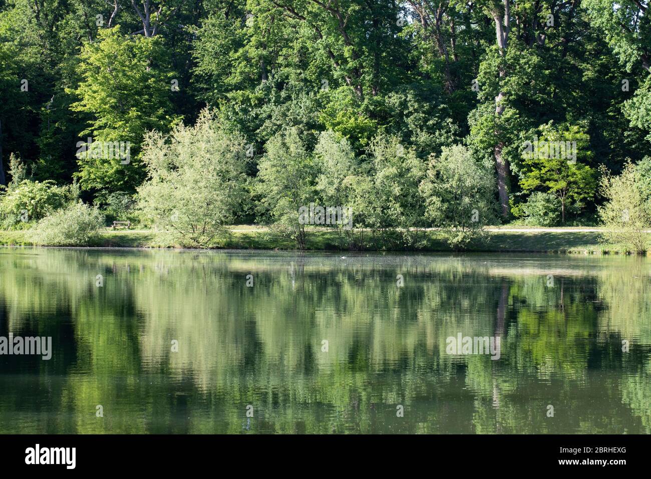 Ein Weg neben einem grünen Wald und einem See Stockfoto