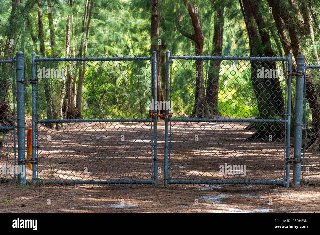 Geschlossenes und verschlossenes Tor, Kettengliedzaun, blockiert den Zugang zum Park Naturpfad, während COVID-19 Ausbruch - Davie, Florida, USA Stockfoto