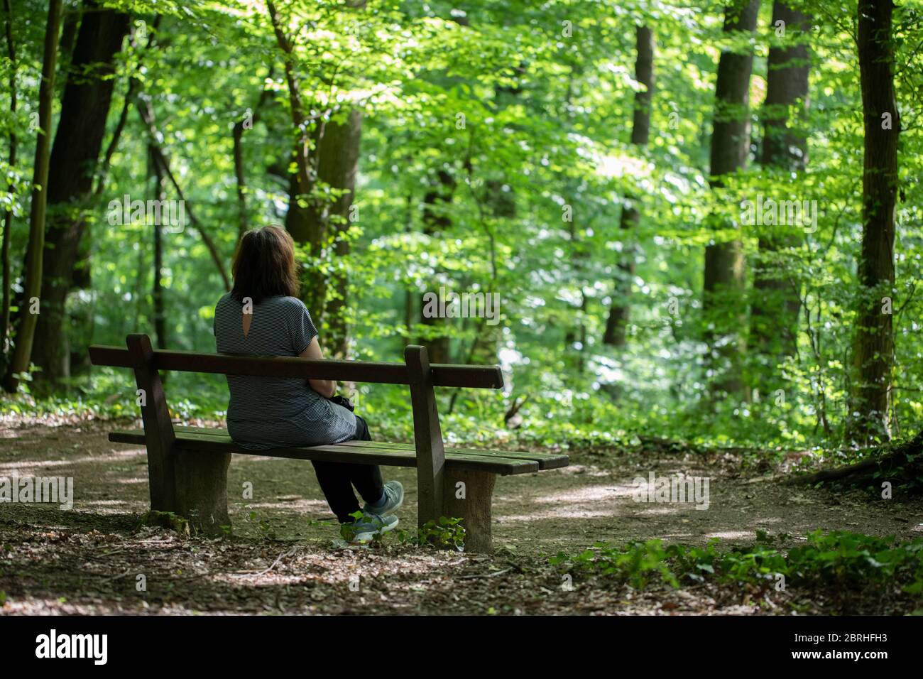 Eine Frau sitzt auf einer Bank neben einem Waldweg Stockfoto