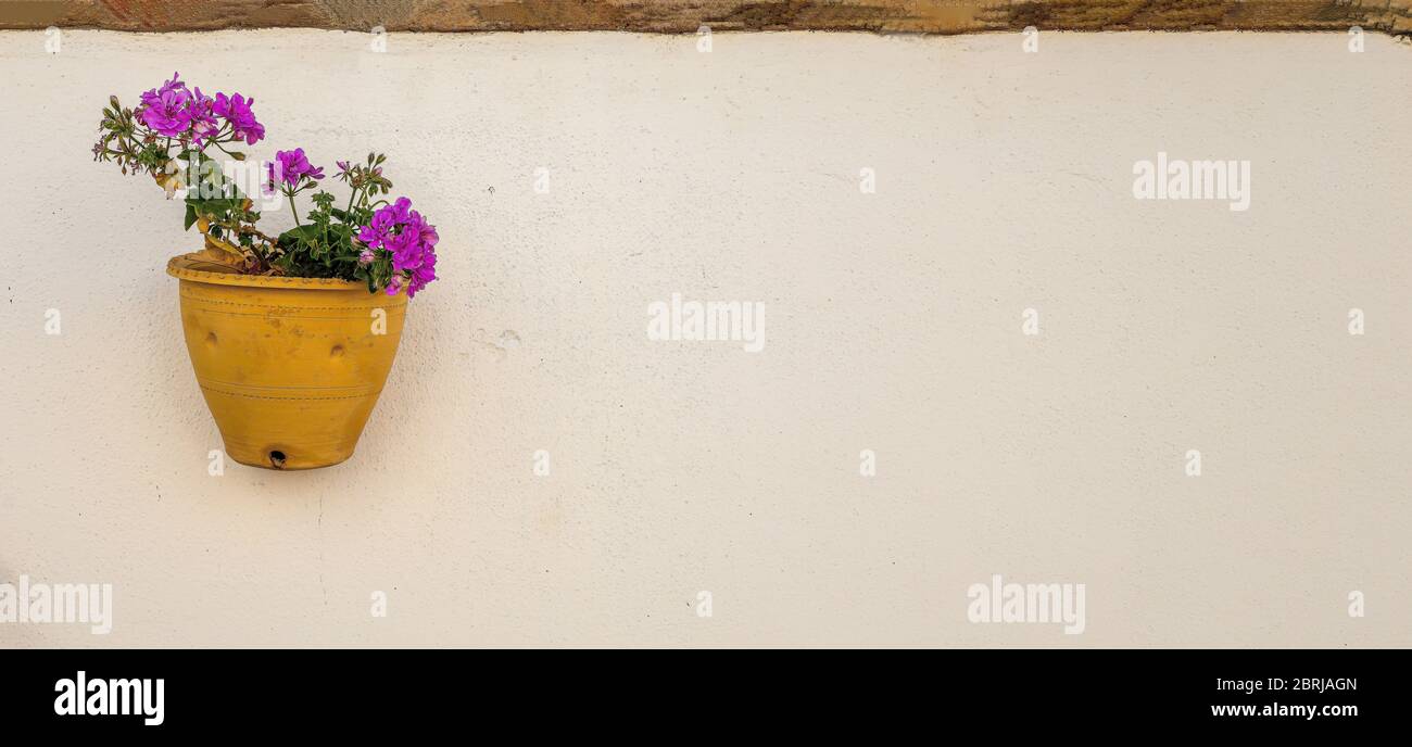 Gelber Topf mit Geranie in einer typisch andalusischen Wand Stockfoto