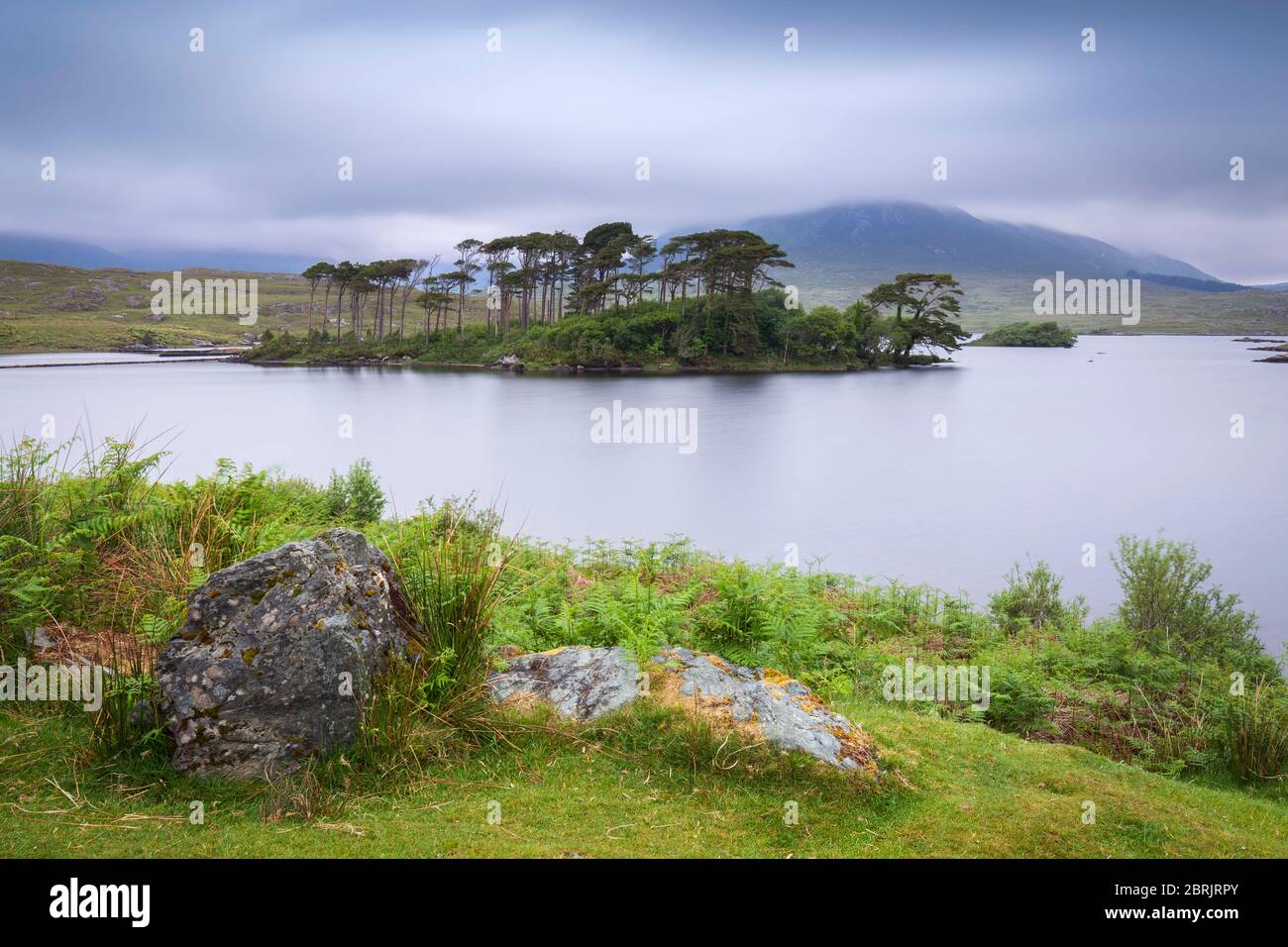 Blick auf Pine Island auf dem Derryclare Lough. Pine Island, Connemara National Park, County Galway, Connacht Provinz, Inagh Valley, Irland. Stockfoto