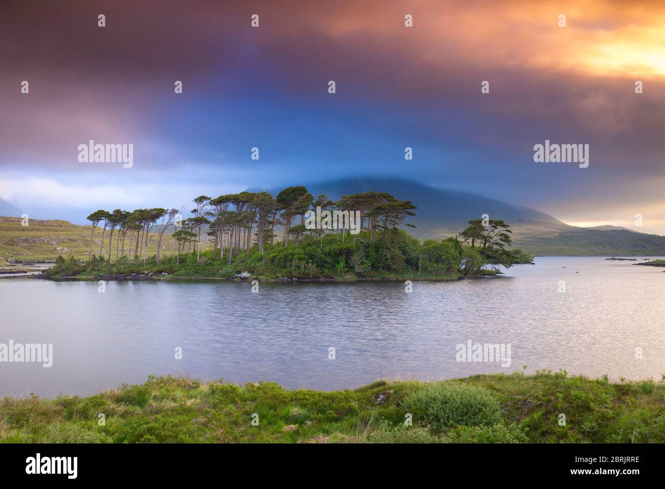 Blick auf Pine Island auf dem Derryclare Lough. Pine Island, Connemara National Park, County Galway, Connacht Provinz, Inagh Valley, Irland. Stockfoto