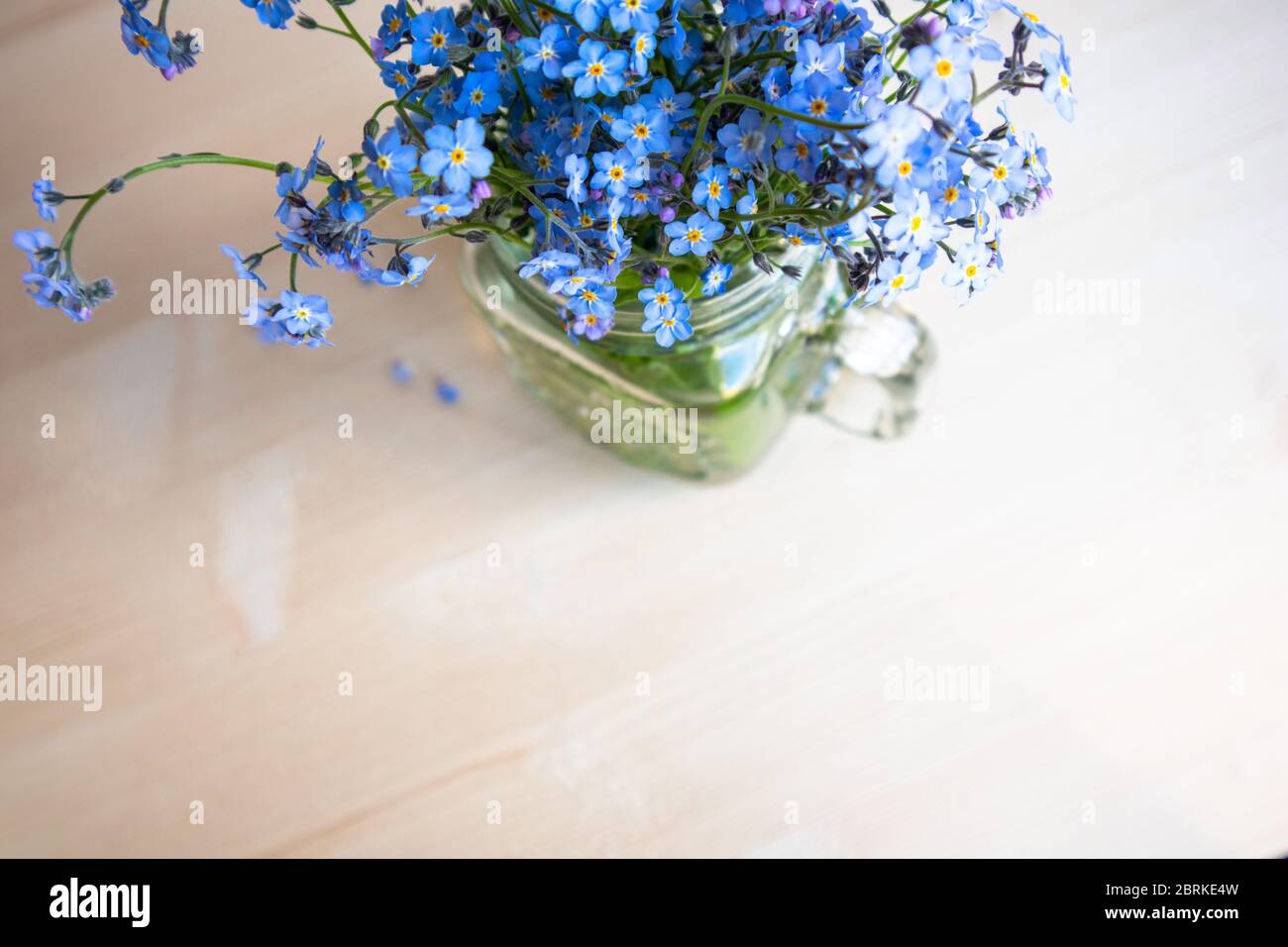 Bouquet von Vergissmeinnicht-Blumen in einer Glasschale auf einem unfokussierten Hintergrund Stockfoto