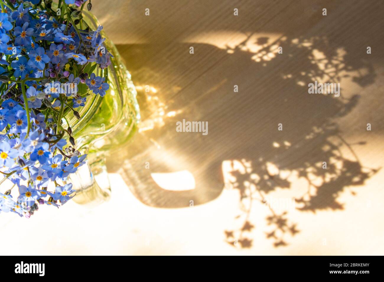 Bouquet von Vergissmeinnicht-Blumen in einem Glas-Becher auf einem sonnigen Holzhintergrund Stockfoto