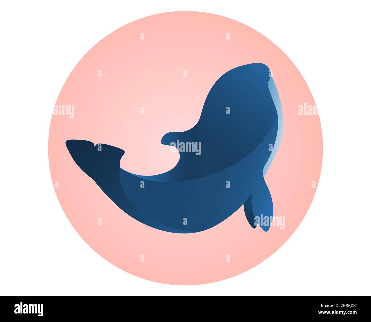 Wilder blauer Orca auf rosa Kreis. Schild für Delfinarium. Schönheit des wilden Meeressäugers. Stock Vektor