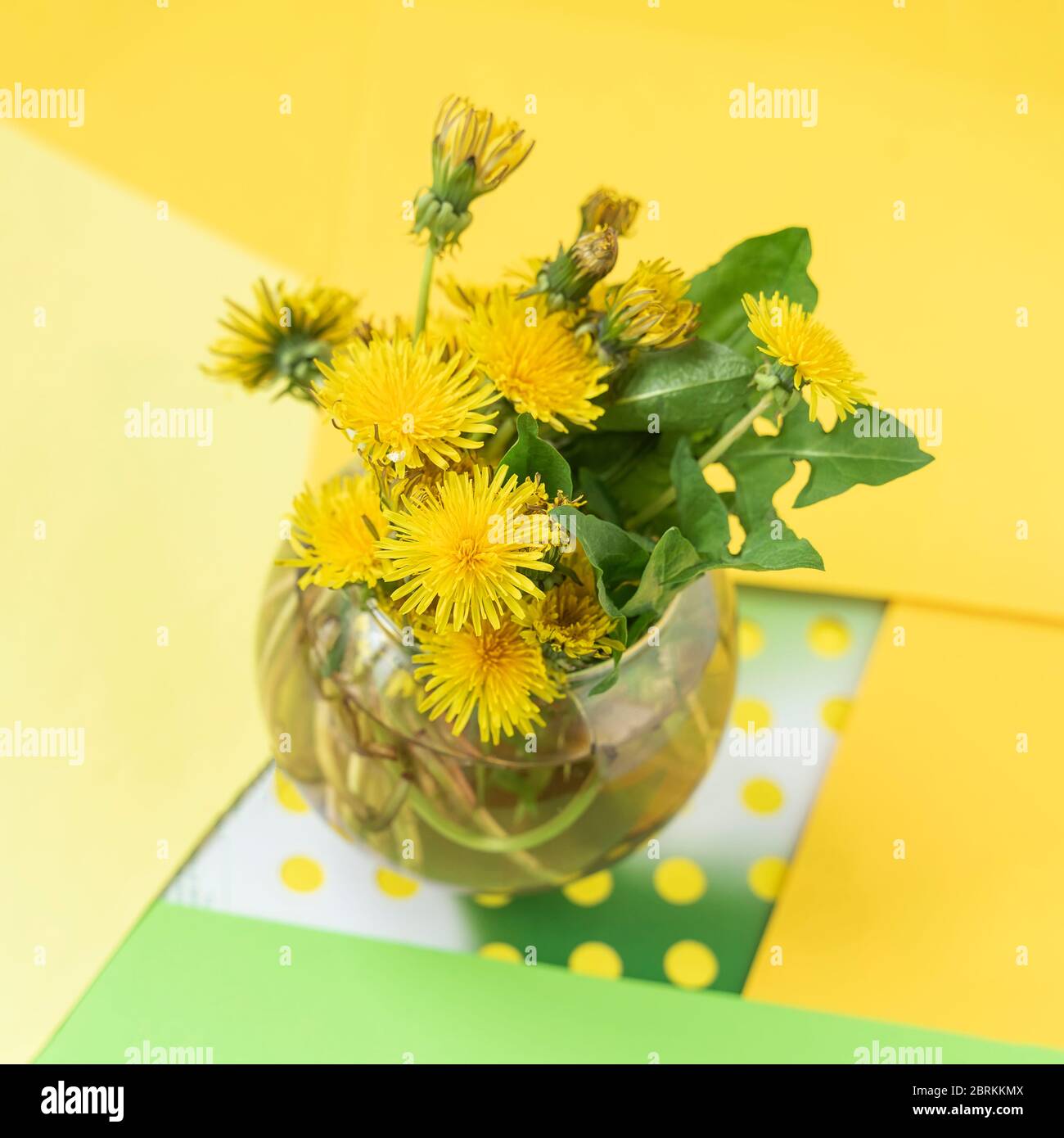 Bouquet von hellen bunten gelben Löwenzahn in Glasvase, Blumen auf hellen bunten Hintergrund, Konzept des Frühlings, Feiertage Stockfoto