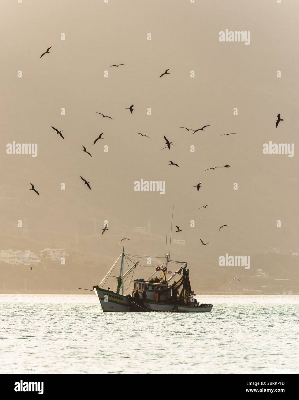 Kommerzielle Trawler mit einer Gruppe von Fregattebirds, die oben fliegen, Ilhabela, Brasilien Stockfoto