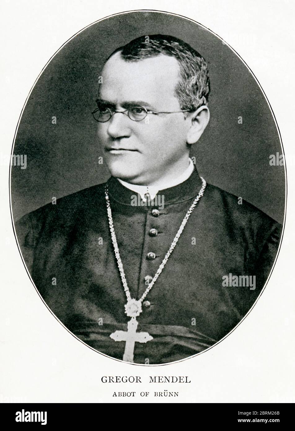 Gregor Mendel, Porträtfoto des tschechischen Wissenschaftlers um 1855, Augustiner-Mönch, Abt von Brünn und Begründer der modernen Genetik für seine Arbeit an Pflanzen Stockfoto