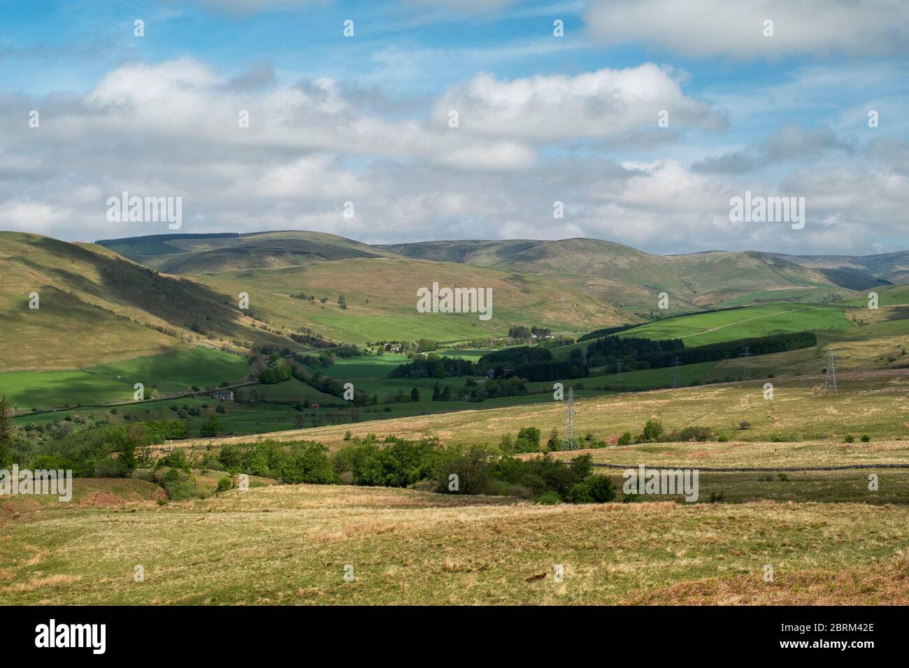 Ein Blick nach Norden auf das Muttertal von Langholm Moor, Dumfries und Galloway, Schottland. Stockfoto