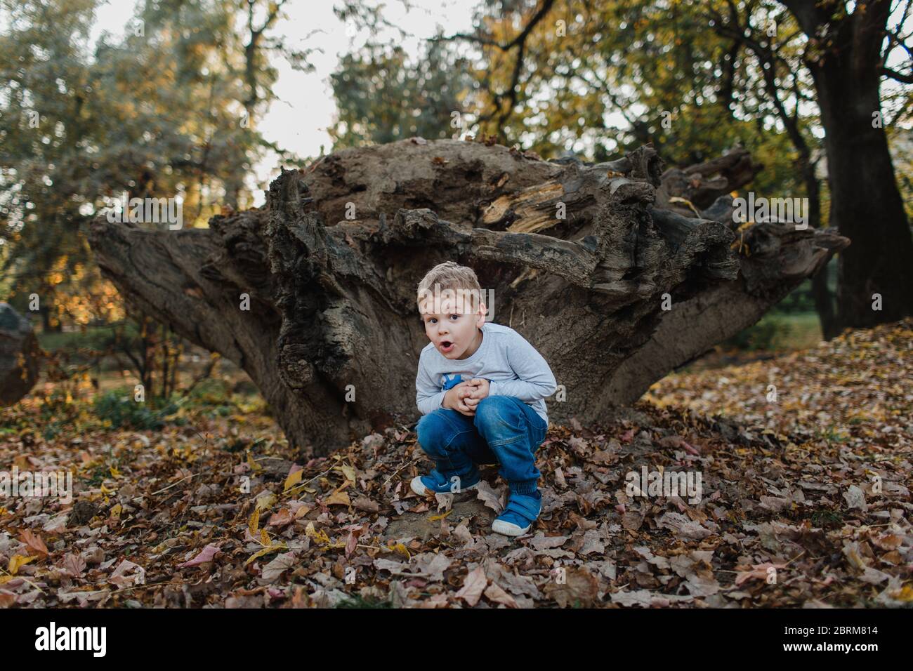 Kleiner Junge hockend durch Baumstumpf. Niedliches Kind hockend auf dem Boden in den Wäldern mit Herbstblättern und versteckt. Stockfoto