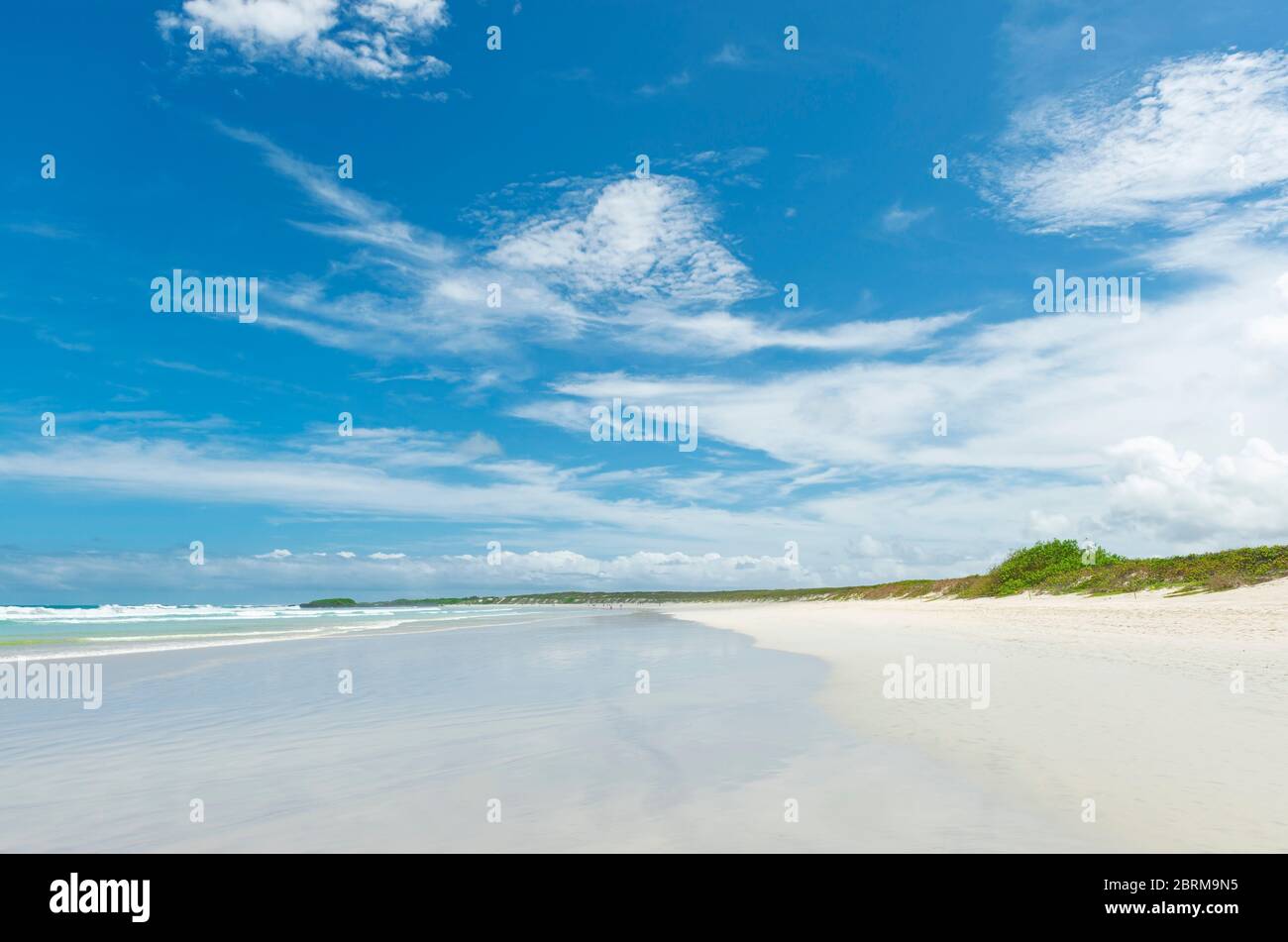Tortuga Strand mit Sanddünen auf Santa Cruz Insel, Galapagos Nationalpark, Ecuador. Stockfoto